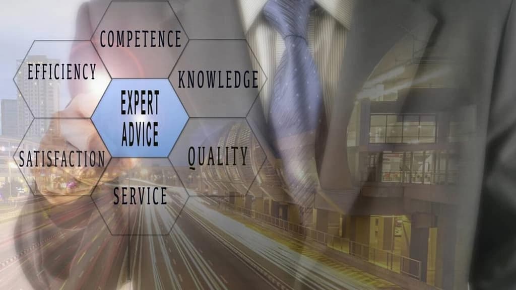 Expertise and Industry Knowledge
